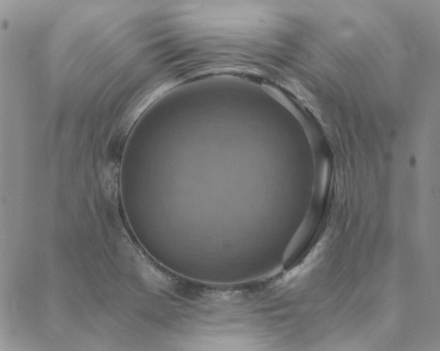 X0000089711369200706211332