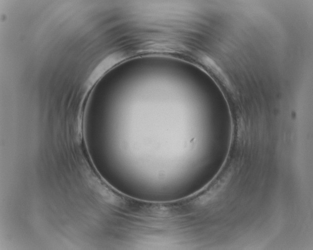 X0000089711370200706211332