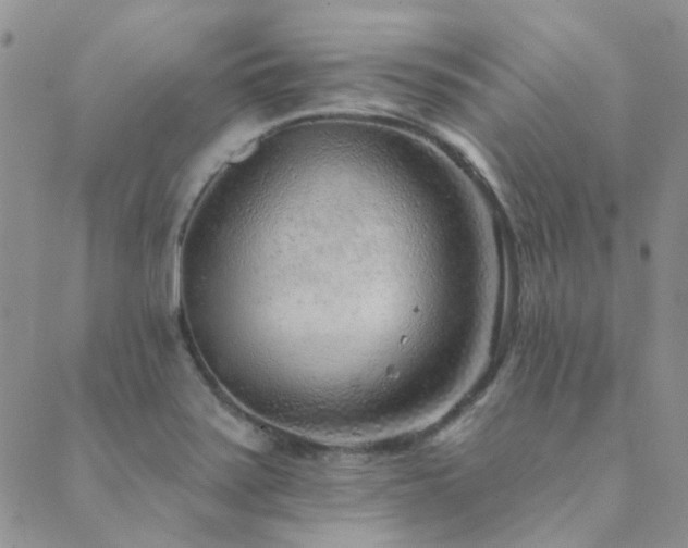 X0000089711371200706211332