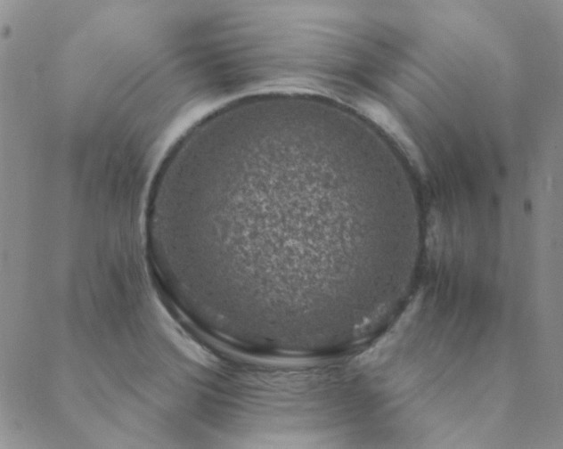 X0000089711372200706211332