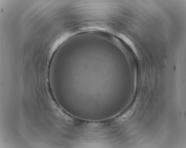 X0000089711373200706211332