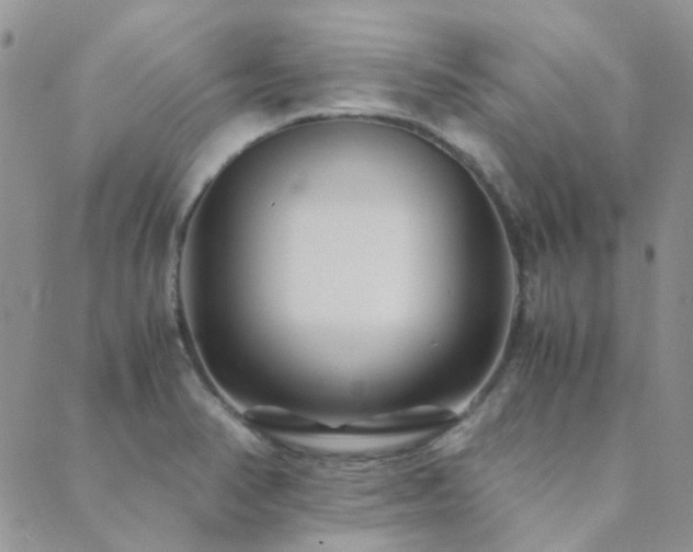 X0000089711374200706211332