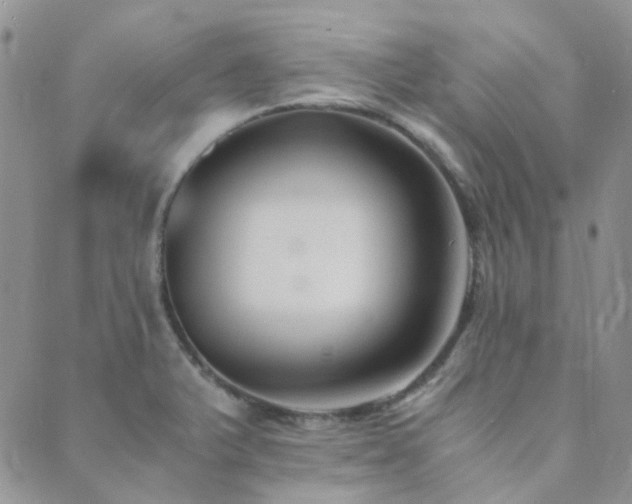 X0000089711375200706211332