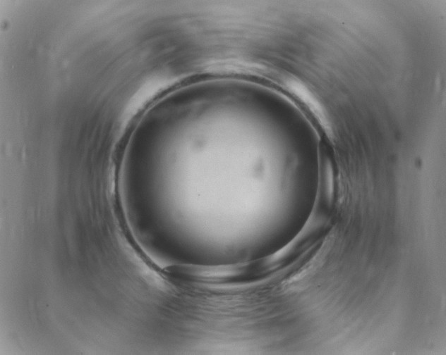 X0000089711376200706211332