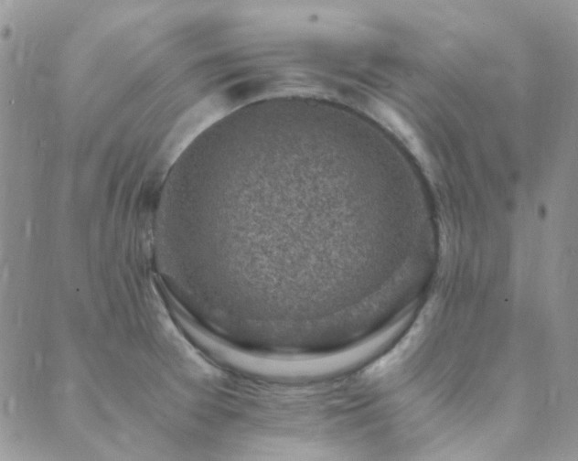 X0000089711377200706211332