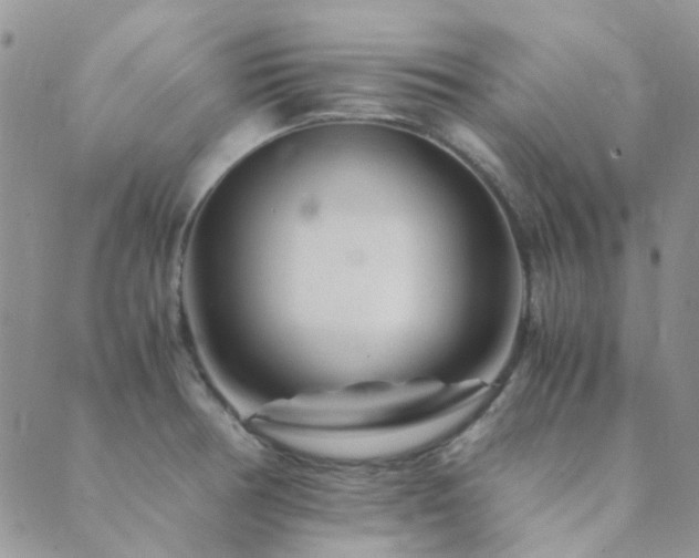 X0000089711378200706211332