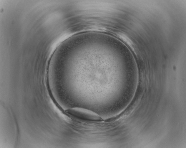 X0000089711379200706211332