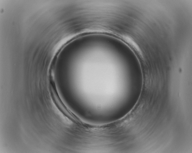 X0000089711380200706211332