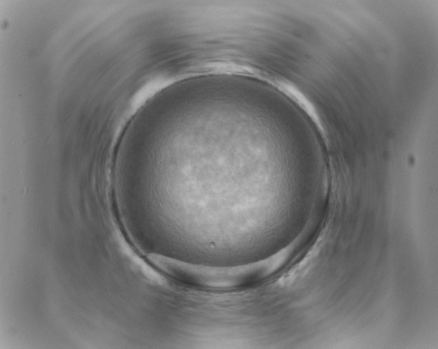 X0000089711381200706211332