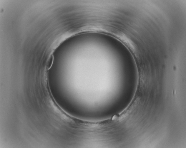 X0000089711382200706211332