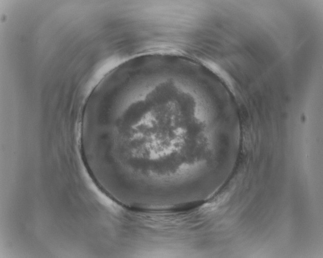 X0000089711383200706211332