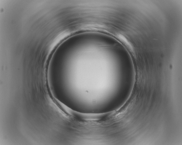 X0000089711384200706211332