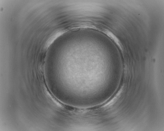 X0000089711385200706211332