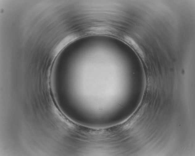 X0000089711386200706211332