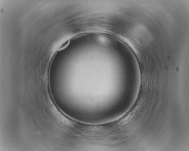 X0000089711387200706211332