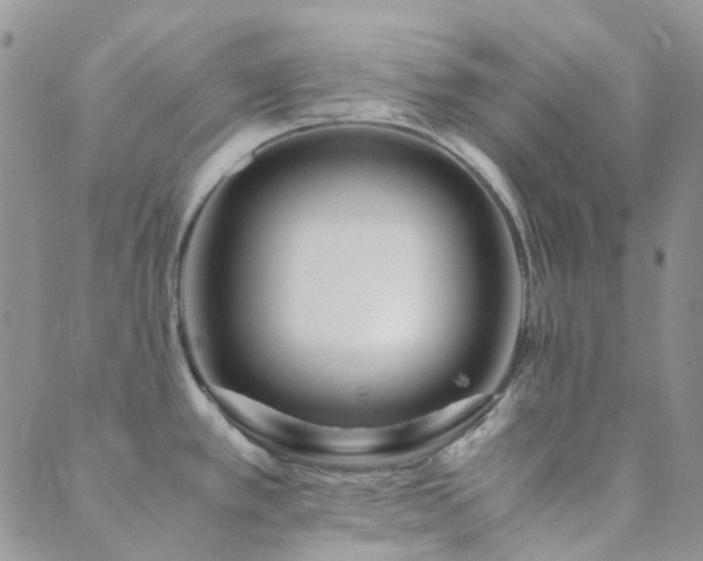 X0000089711389200706211332