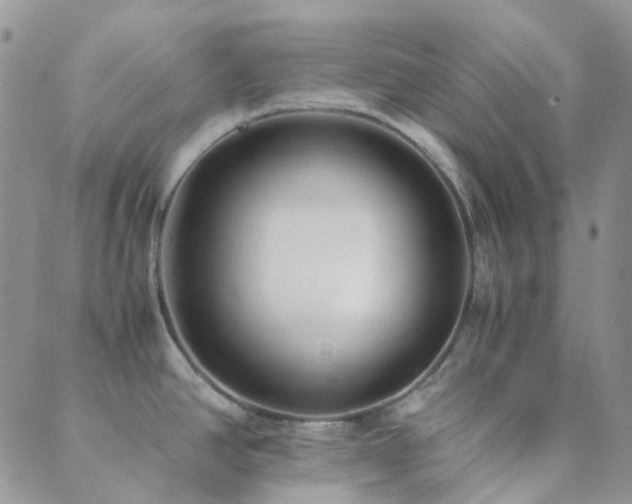 X0000089711390200706211332