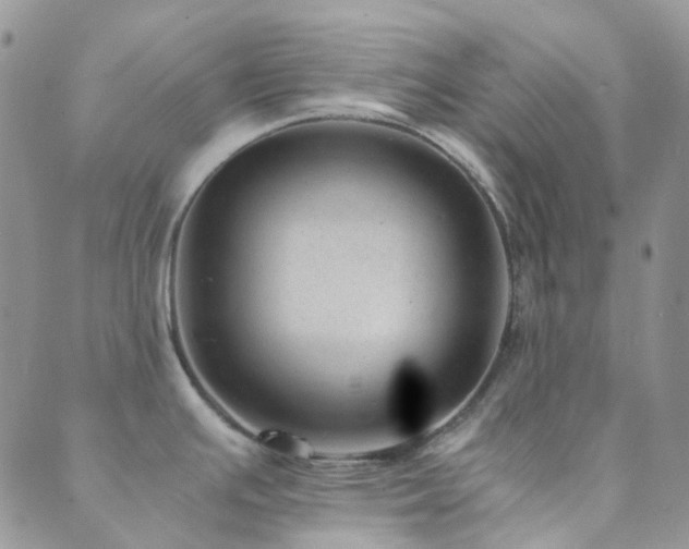 X0000089711391200706211332