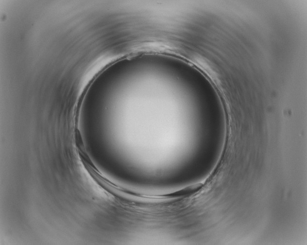 X0000089711392200706211332