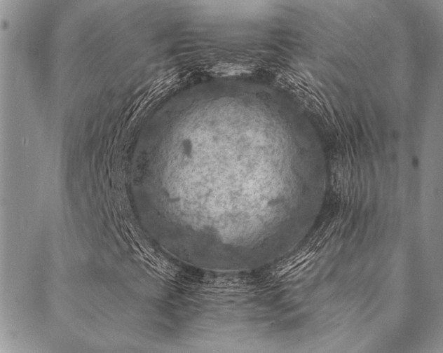 X0000089711393200706211331