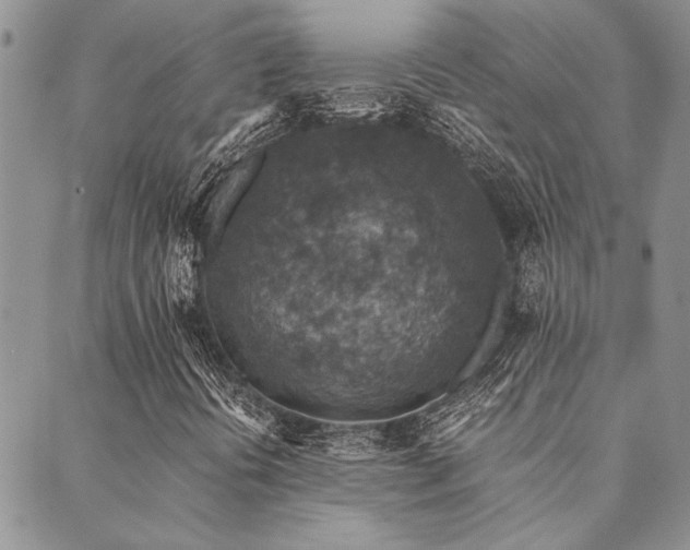 X0000089711394200706211331