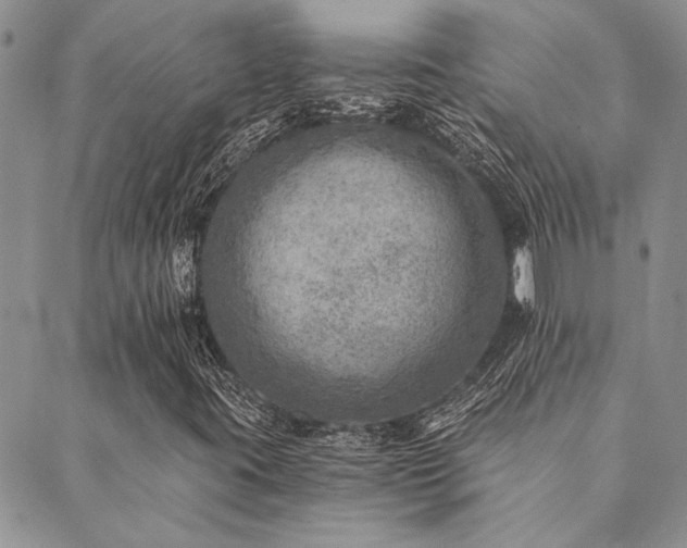 X0000089711395200706211331