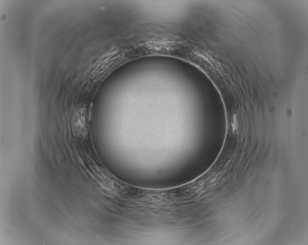 X0000089711396200706211331