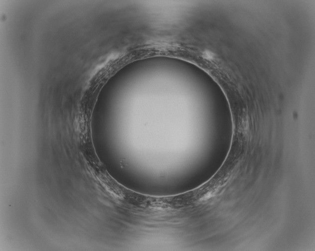 X0000089711398200706211331