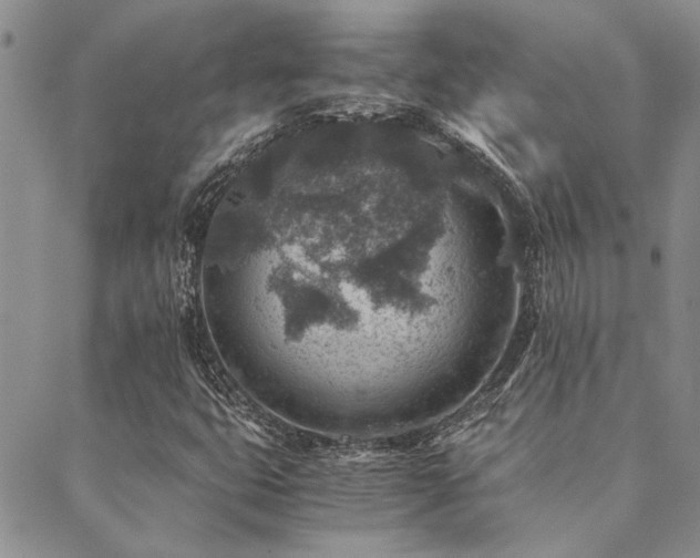 X0000089711399200706211331