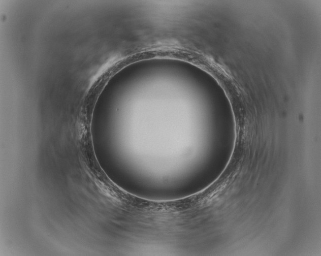 X0000089711400200706211331