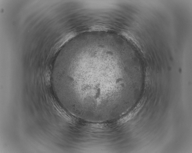 X0000089711401200706211331