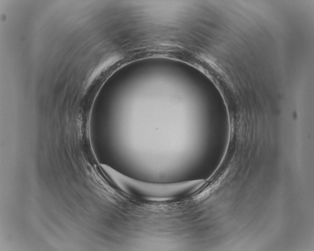 X0000089711402200706211331