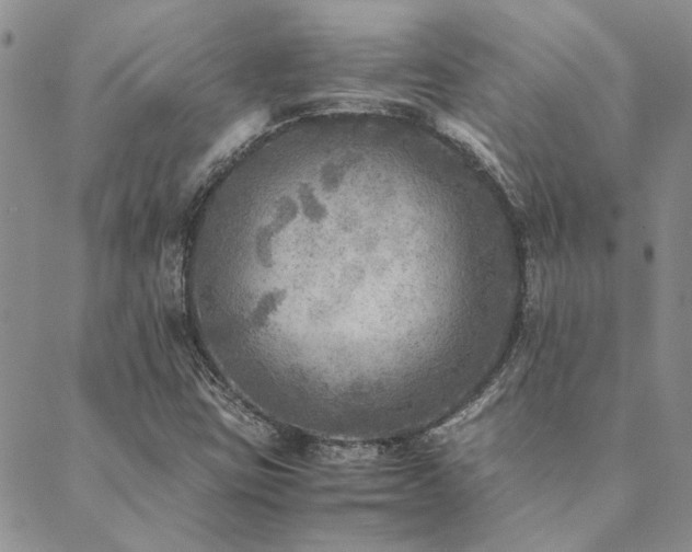 X0000089711403200706211331