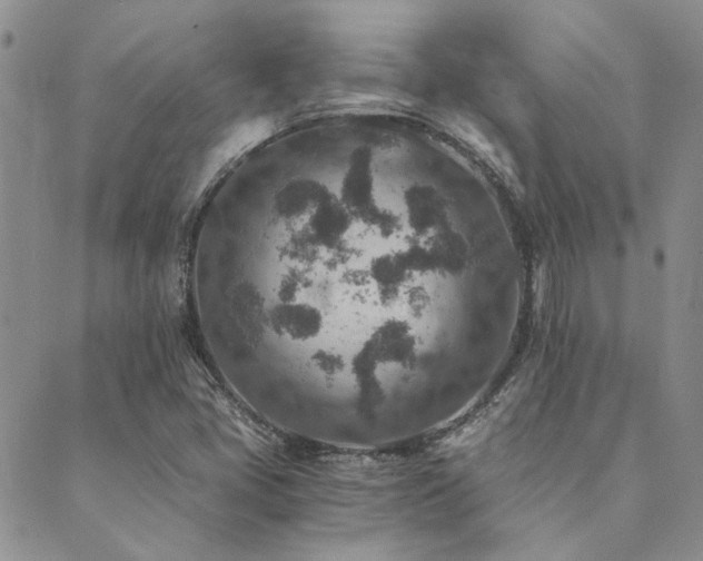 X0000089711405200706211331