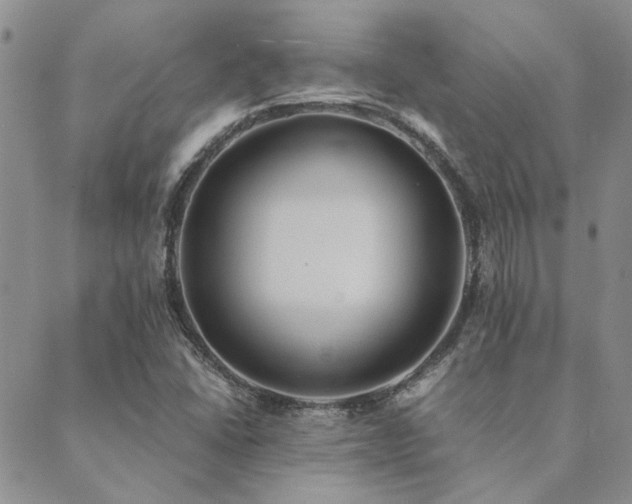 X0000089711406200706211331