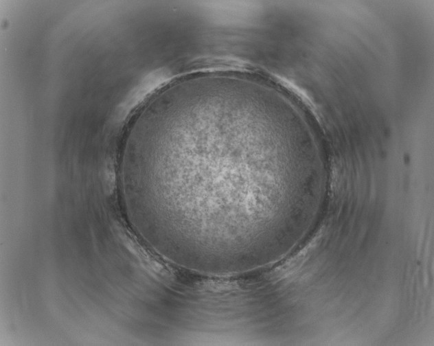 X0000089711407200706211332