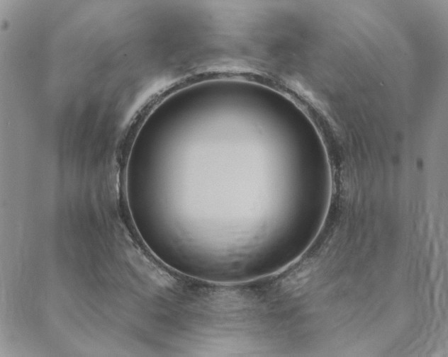 X0000089711408200706211332