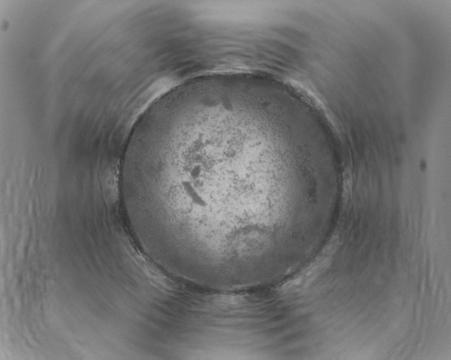 X0000089711409200706211332