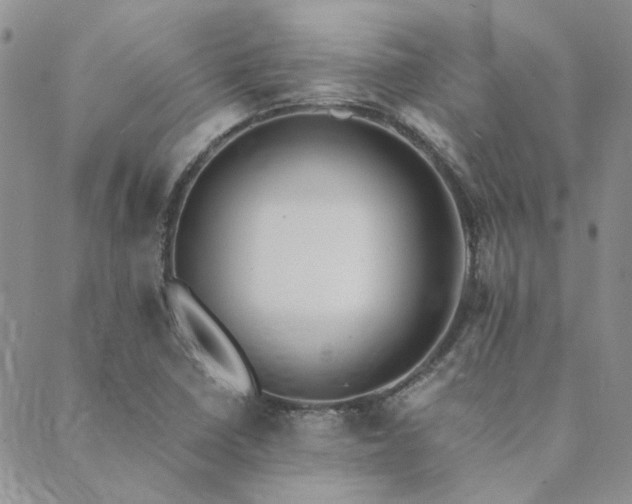 X0000089711410200706211332