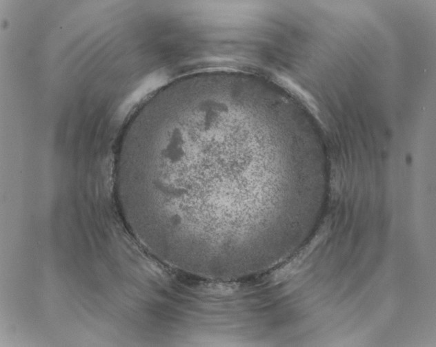 X0000089711411200706211332