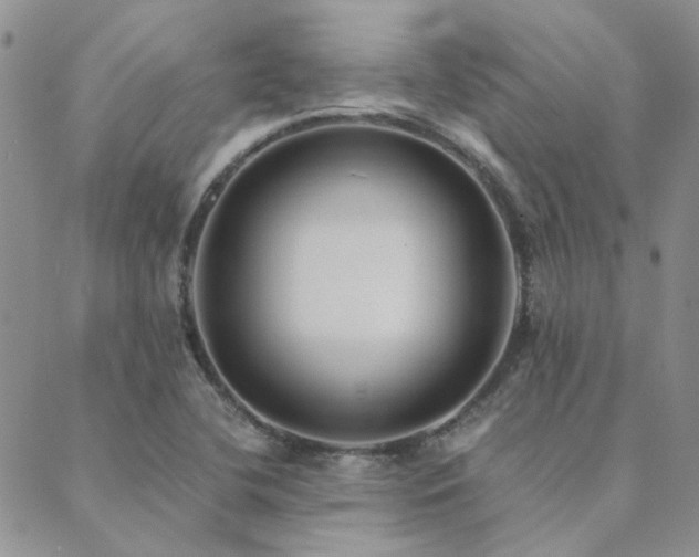 X0000089711412200706211332