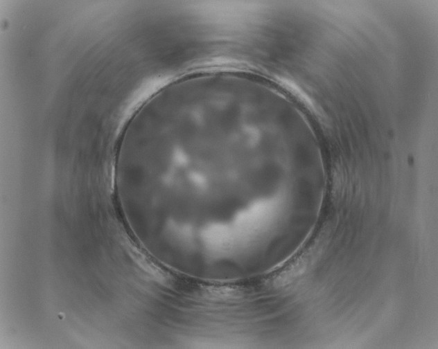 X0000089711413200706211332