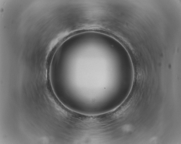 X0000089711414200706211332