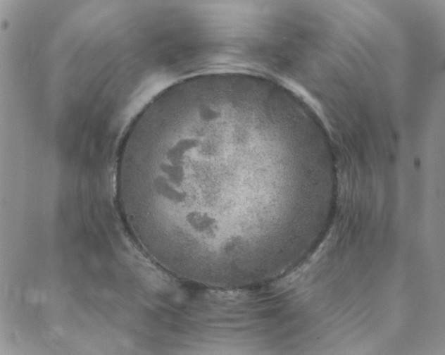 X0000089711415200706211332