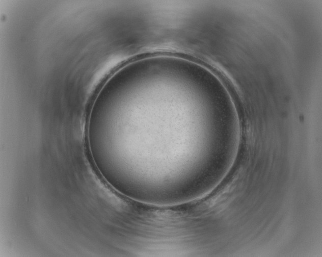 X0000089711416200706211332