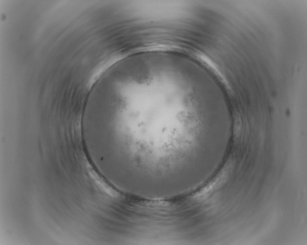 X0000089711417200706211332