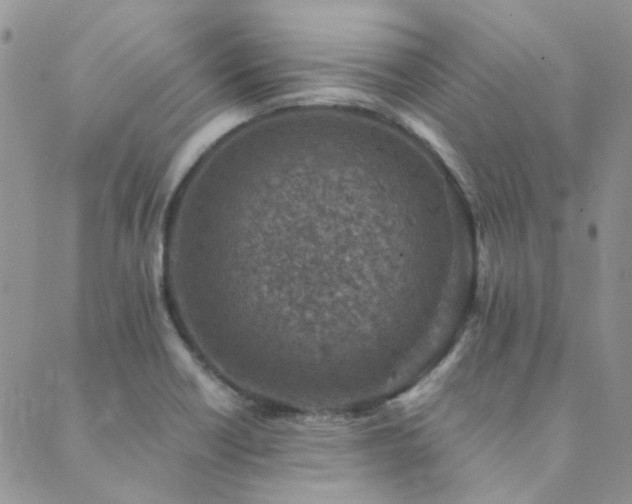 X0000089711418200706211332