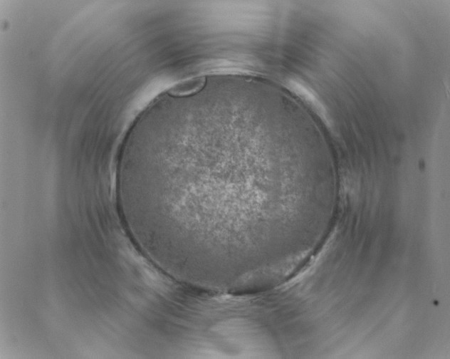 X0000089711419200706211332