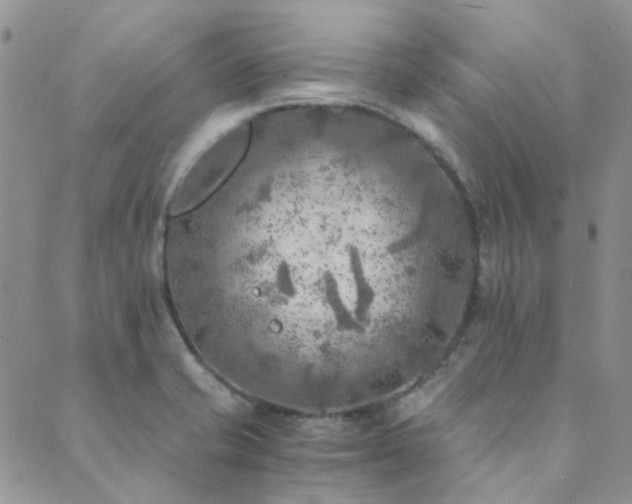 X0000089711421200706211332