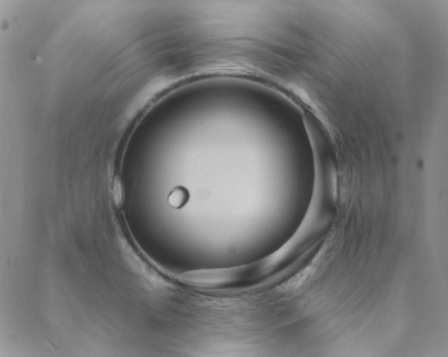 X0000089711422200706211332